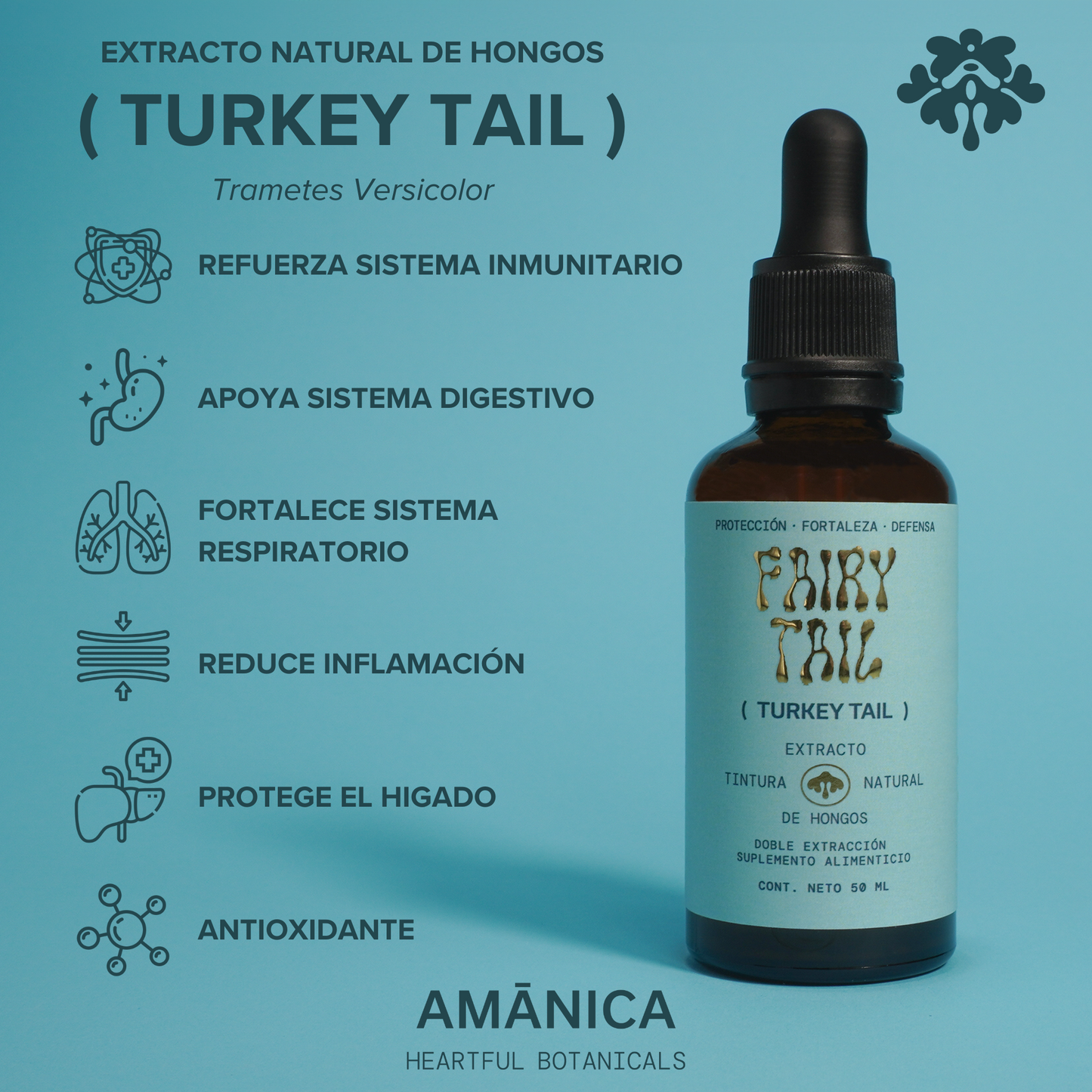 Turkey Tail | Fairy Tail