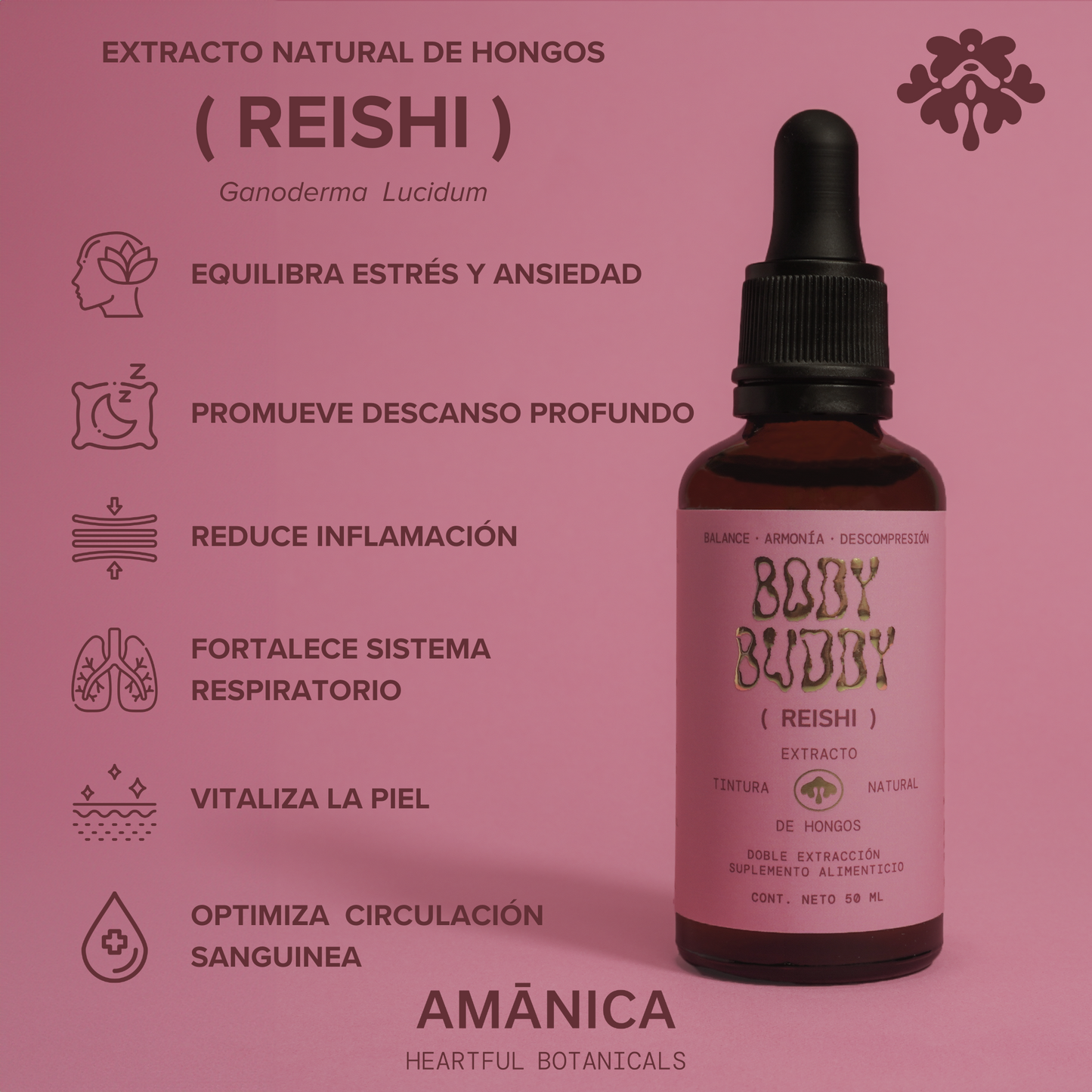 Reishi | Body Buddy