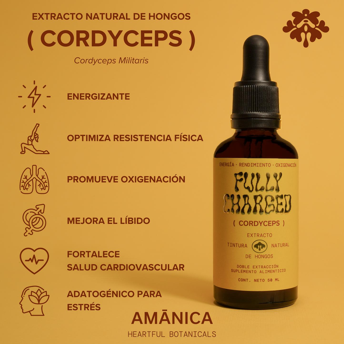Cordyceps | Fully Charged